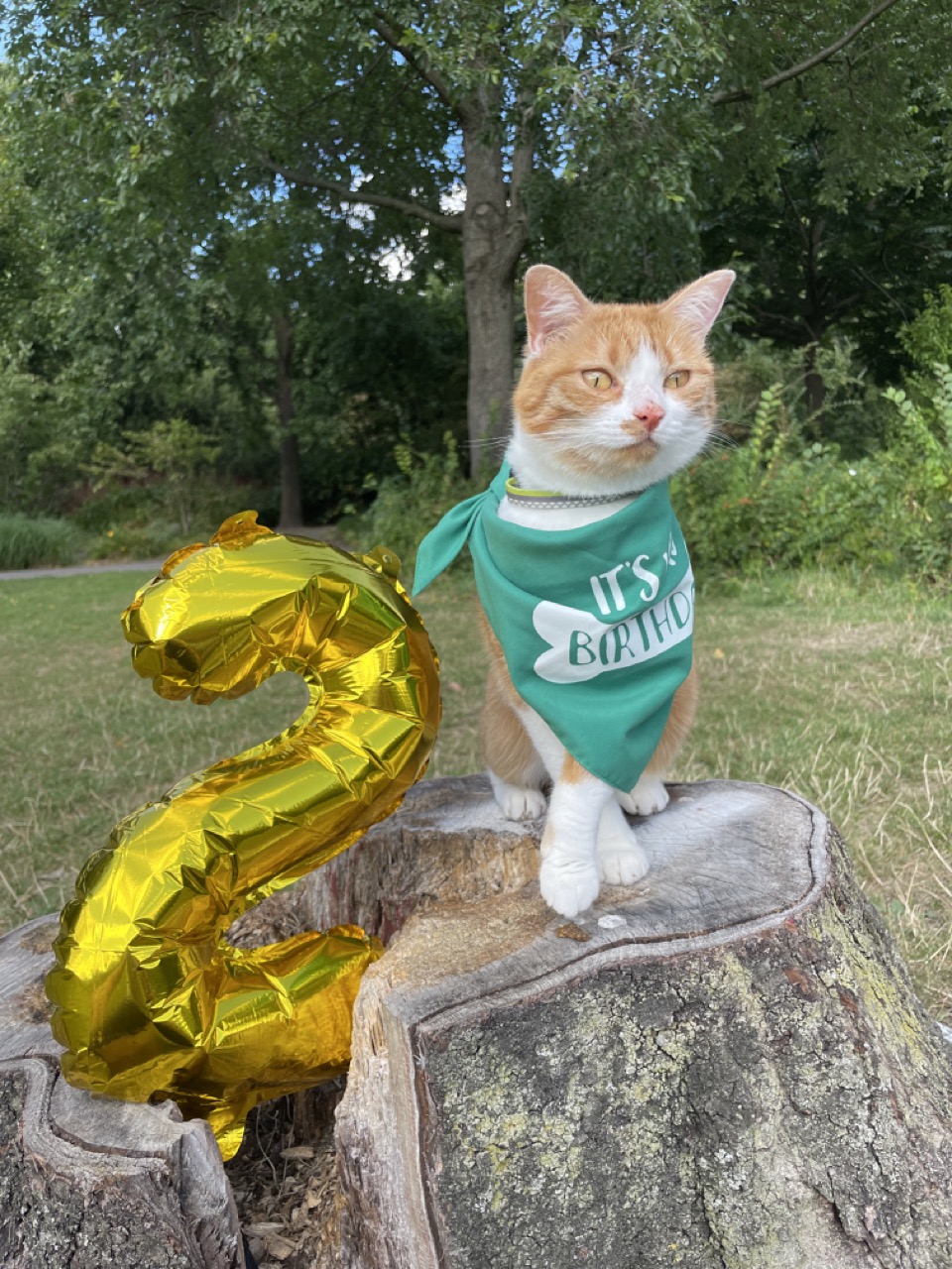 Gijsje celebrating her 2nd birthday