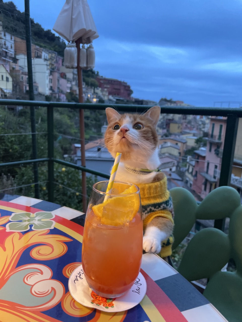 Gijsje 'drinking' aperol spritz