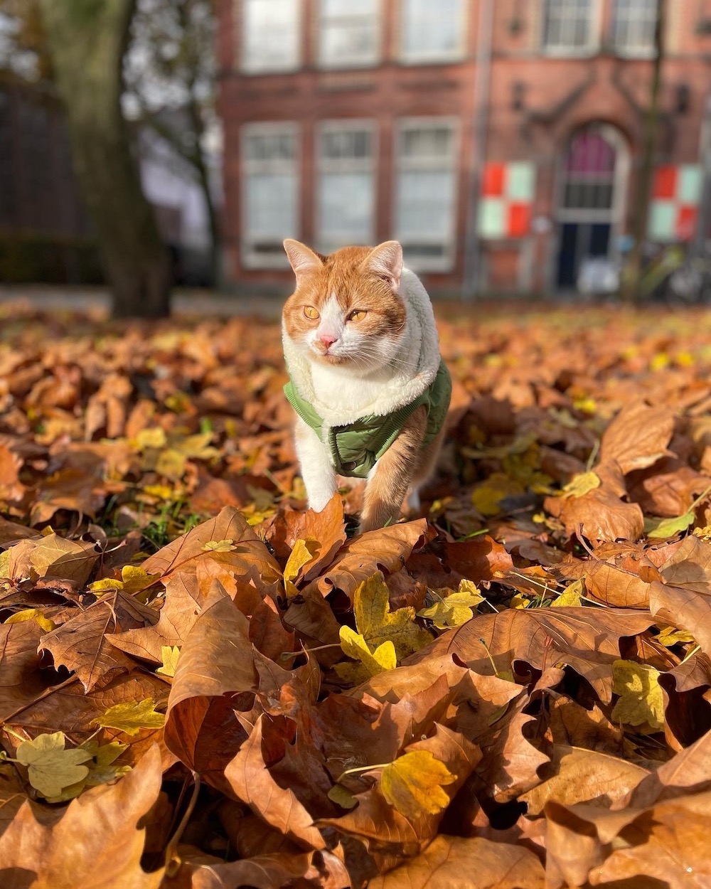 Gijsje posing as a model