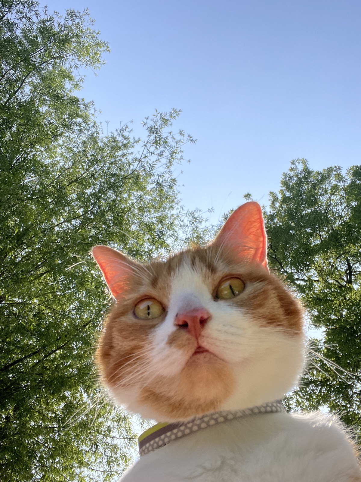 Gijsje taking a selfie